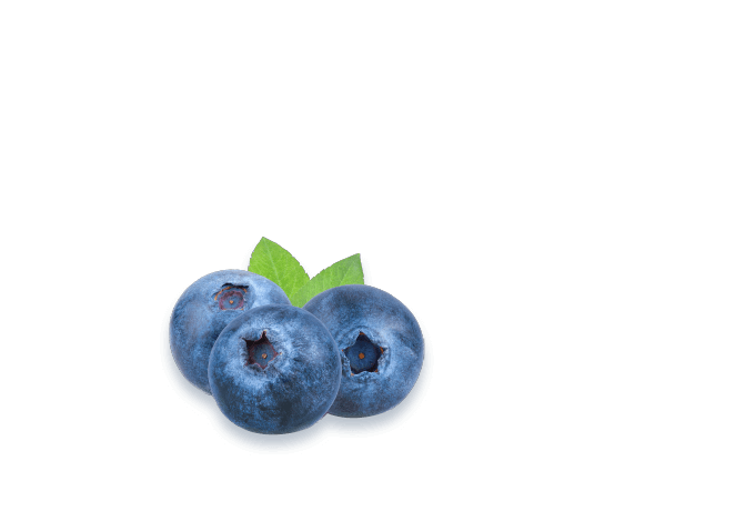 Simply Blueberry Indulgence R