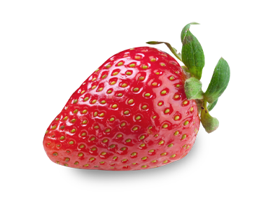 VelvetyStrawberryTreat L test v2