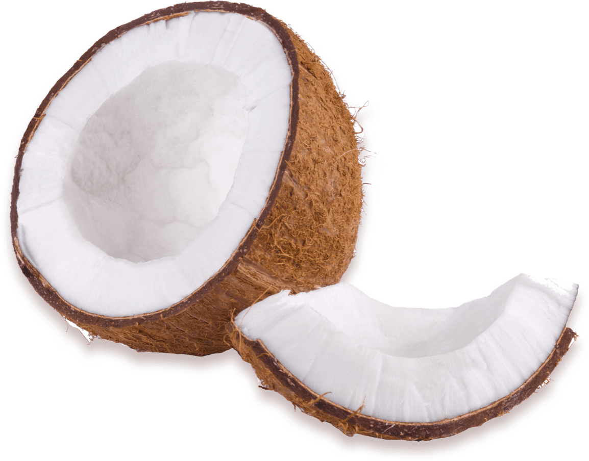 coconut b