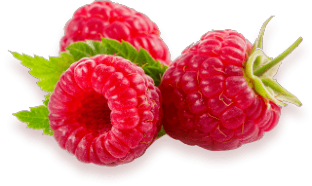 raspberry b